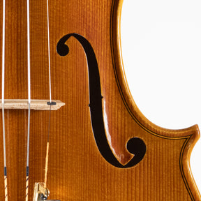 Ali Hosseini Violin, Hamedan, 2025
