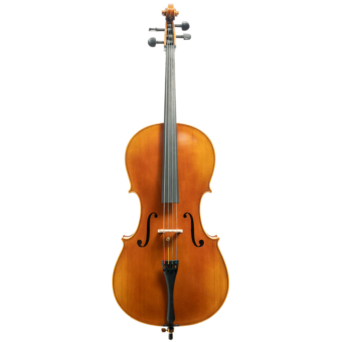 Franz Hoffmann Concert Cello Outfit