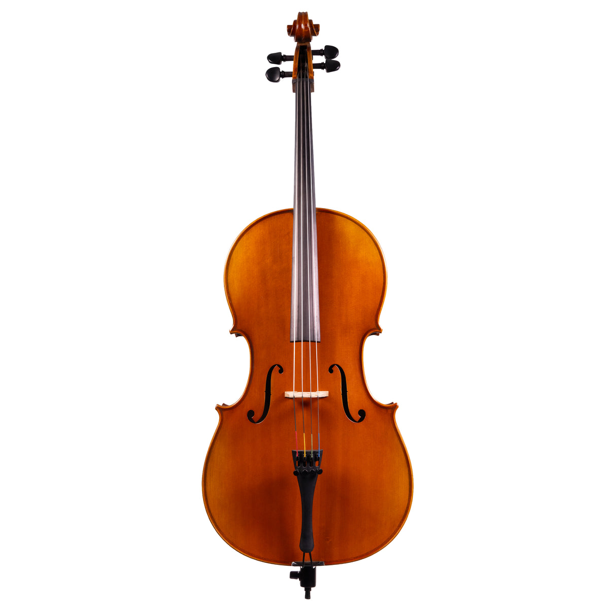 Front view of a Franz Hoffmann Concert beginner cello with spruce top, maple back, ebony fingerboard, ebony pegs, and metal endpin 