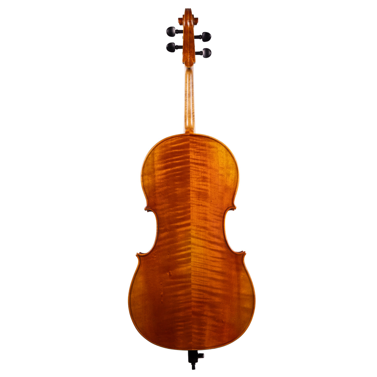 Back view of a Franz Hoffmann Concert beginner cello with spruce top, maple back, ebony fingerboard, ebony pegs, and metal endpin 