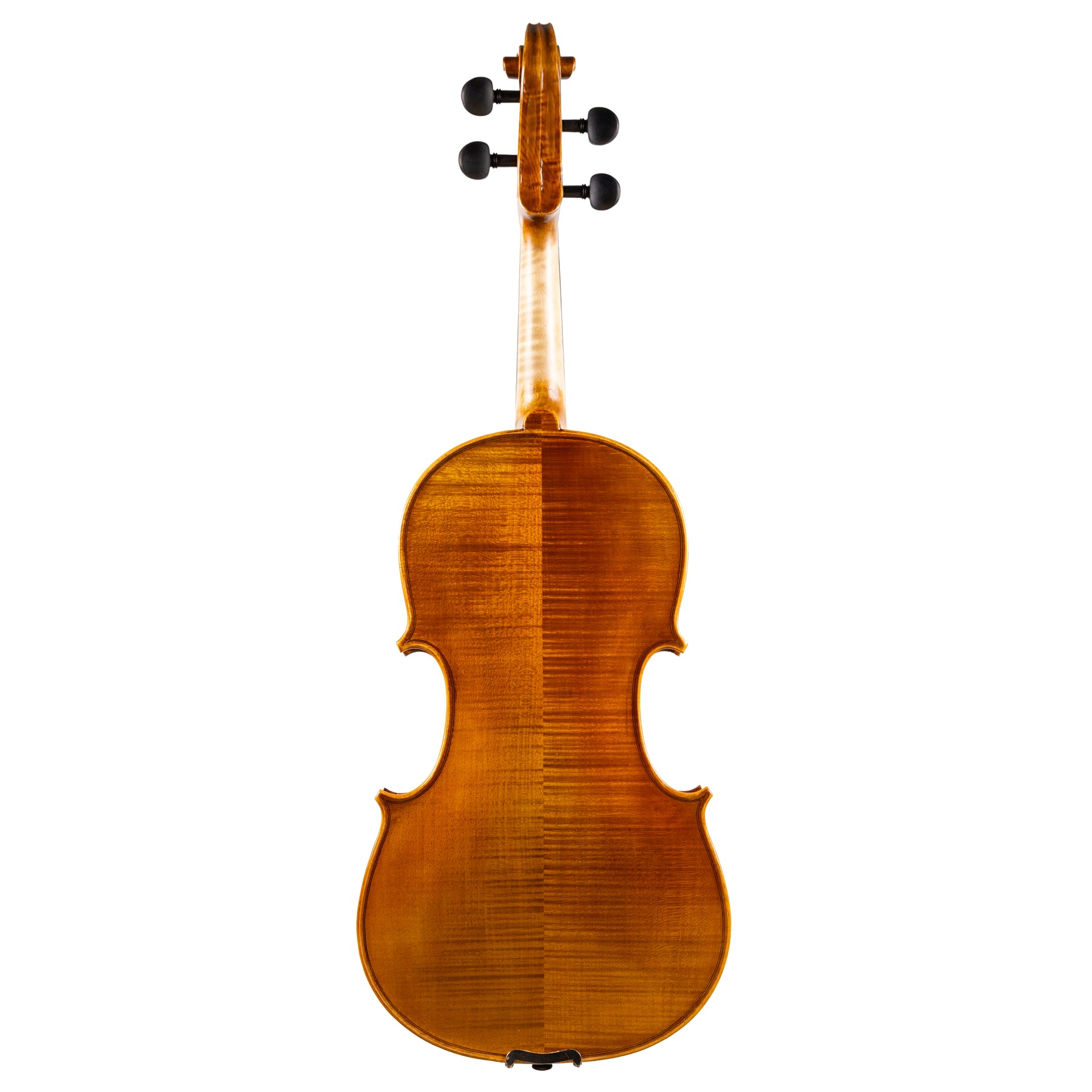 Back view of a Franz Hoffmann Concert beginner viola with spruce top, maple back, ebony fingerboard, pegs, and chinrest 