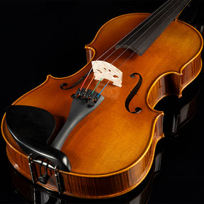 Franz Hoffmann Concert Viola Outfit