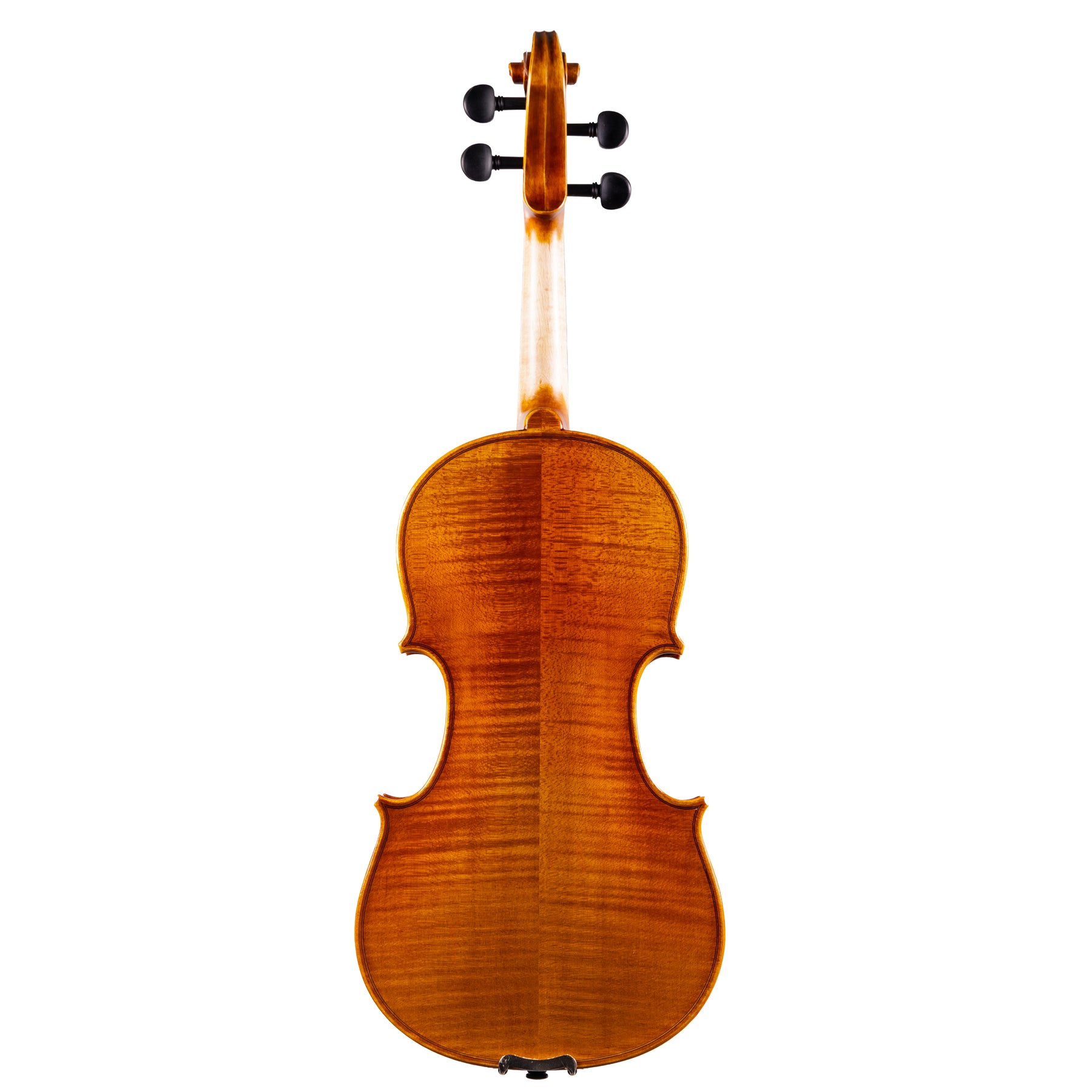 Back view of a Franz Hoffmann Concert beginner violin with spruce top, maple back, ebony fingerboard, pegs, and chinrest 