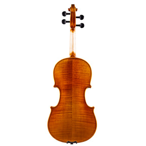 Back view of a Franz Hoffmann Concert beginner violin with spruce top, maple back, ebony fingerboard, pegs, and chinrest 