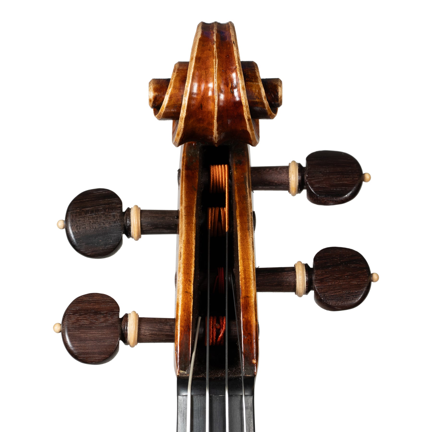 Martin Cruz Aragon Viola, Queretaro, 2025, 15 1/2"