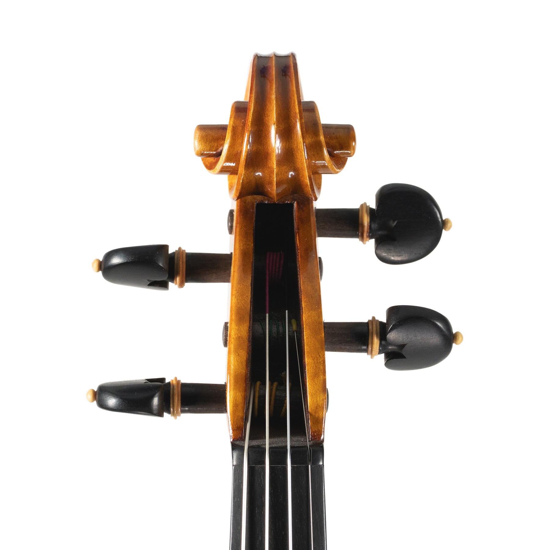Ali Hosseini Violin, Hamedan, 2025