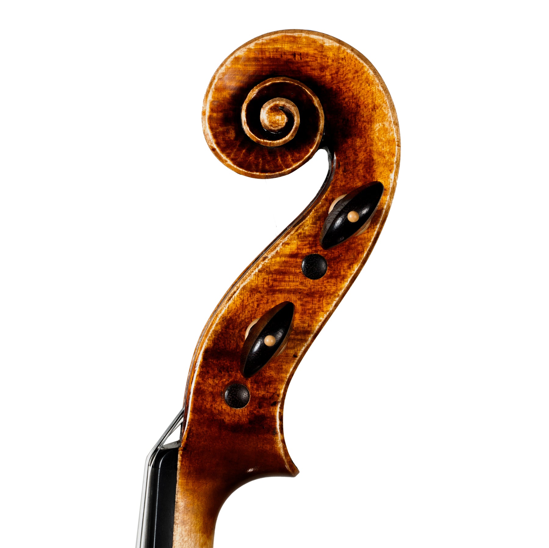 Martin Cruz Aragon Viola, Queretaro, 2025, 15 1/2"