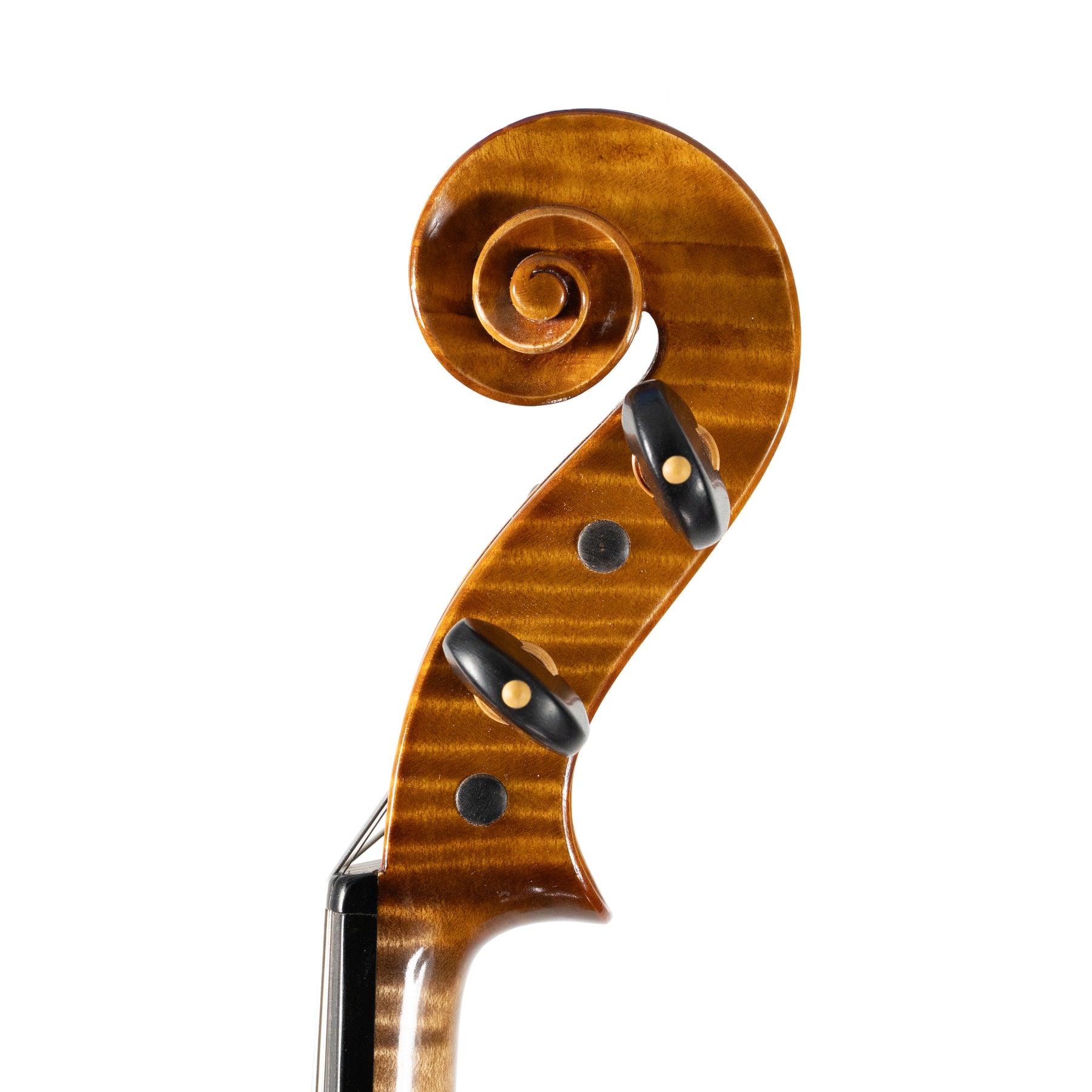 Ali Hosseini Violin, Hamedan, 2025