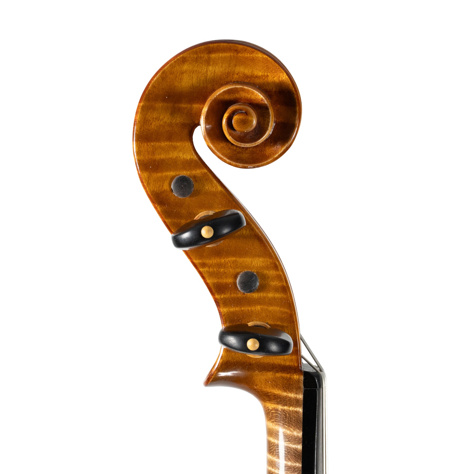 Ali Hosseini Violin, Hamedan, 2025