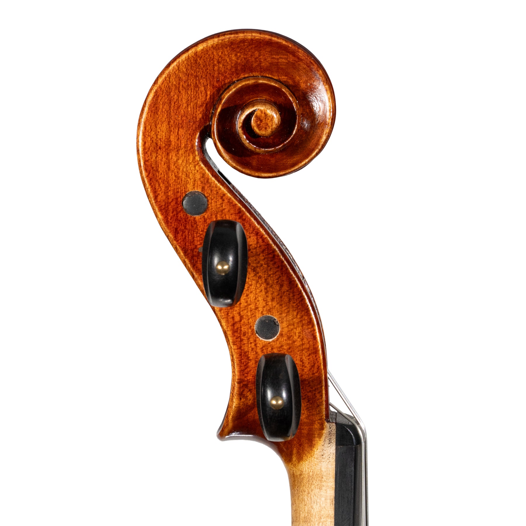 Julia Klotz Violin, Mittenwald, 2023 w/Certificate