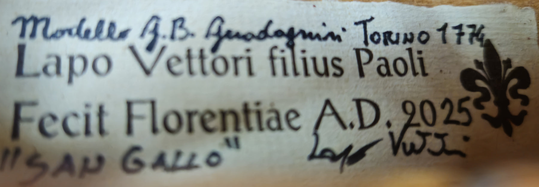 Lapo Vettori "G.B. Guadagnini - Torino 1779" Violin, Firenze, 2025