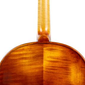 Carlo Lamberti® Tertis Viola