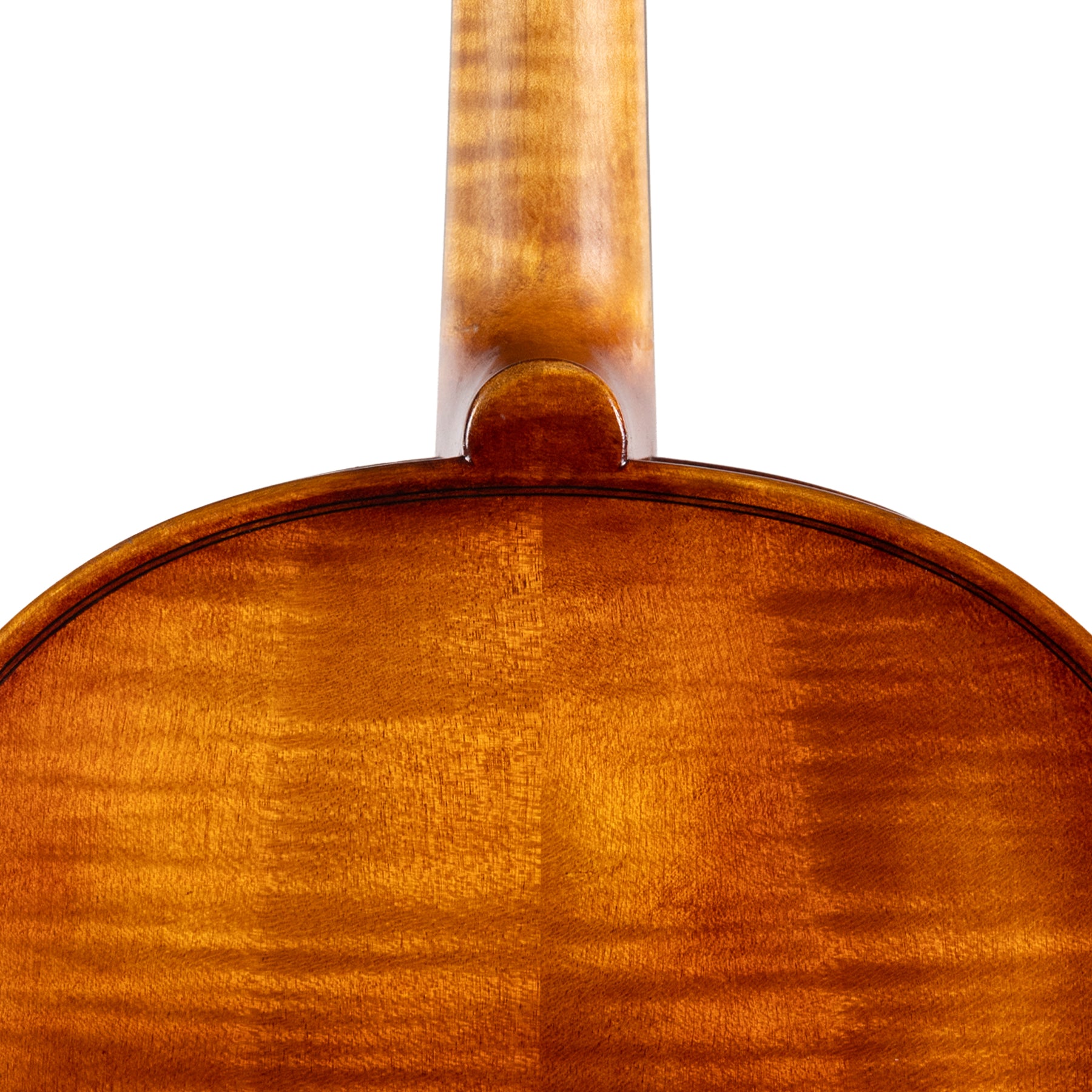 Carlo Lamberti® Classic Viola