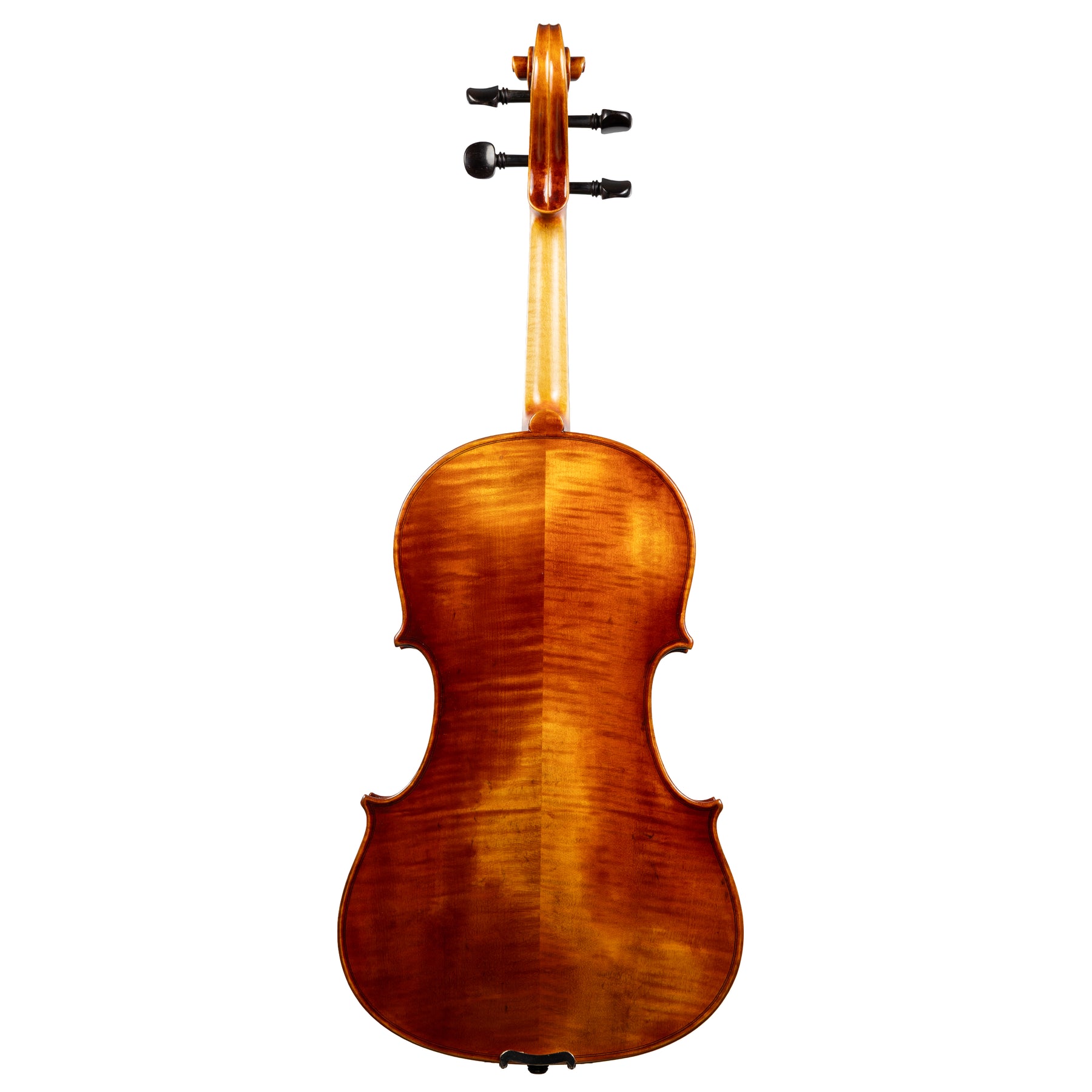 Carlo Lamberti® Tertis Viola