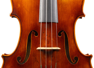 Carlo Lamberti® Tertis Viola
