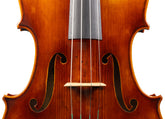 Carlo Lamberti® Tertis Viola