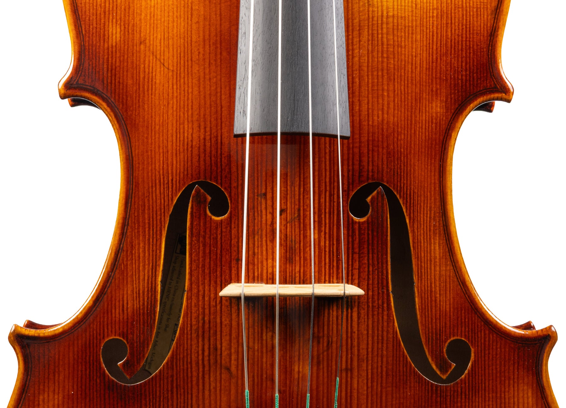 Carlo Lamberti® Tertis Viola