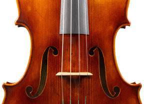 Carlo Lamberti® Tertis Viola