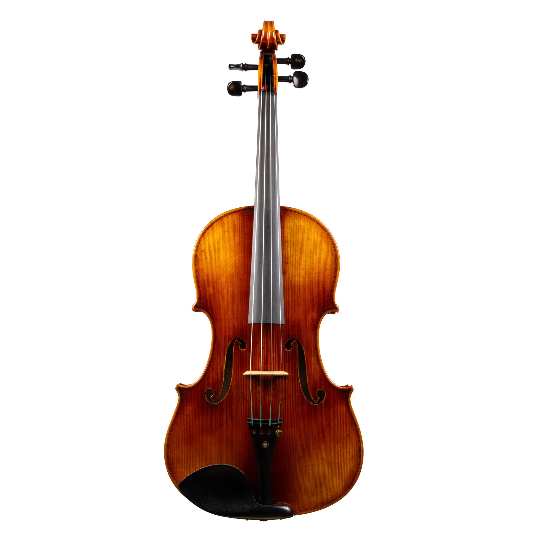 Carlo Lamberti® Tertis Viola