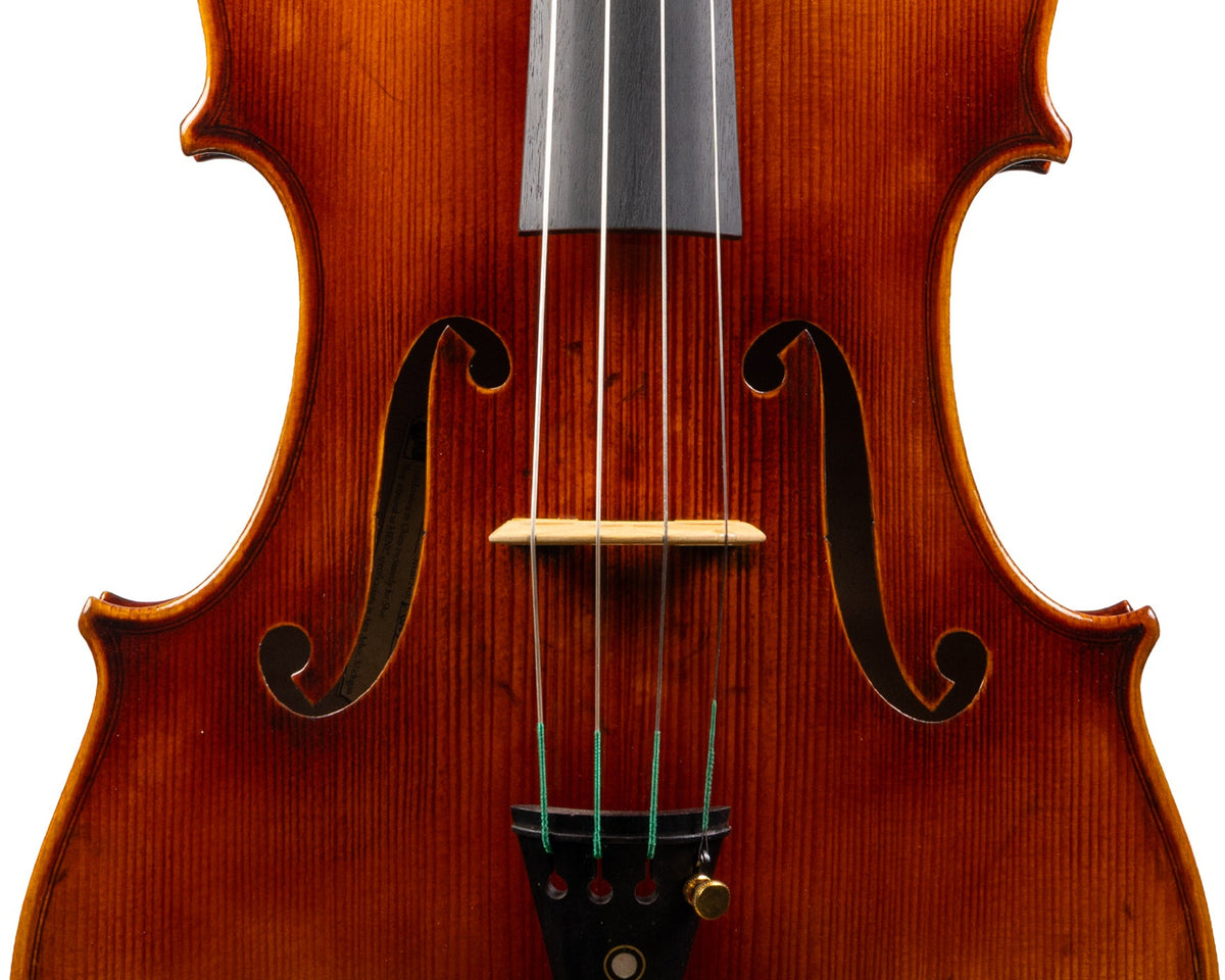 Carlo Lamberti® Tertis Viola