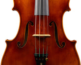 Carlo Lamberti® Tertis Viola