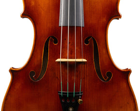 Carlo Lamberti® Tertis Viola