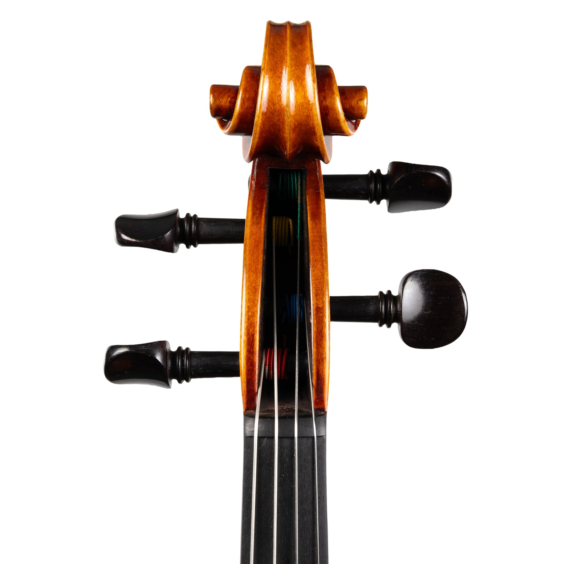 Carlo Lamberti® Tertis Viola