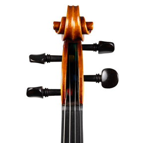 Carlo Lamberti® Tertis Viola
