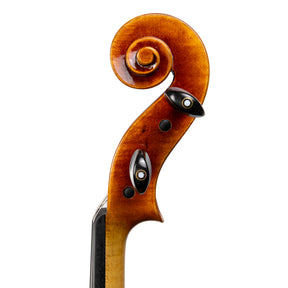 Carlo Lamberti® Tertis Viola