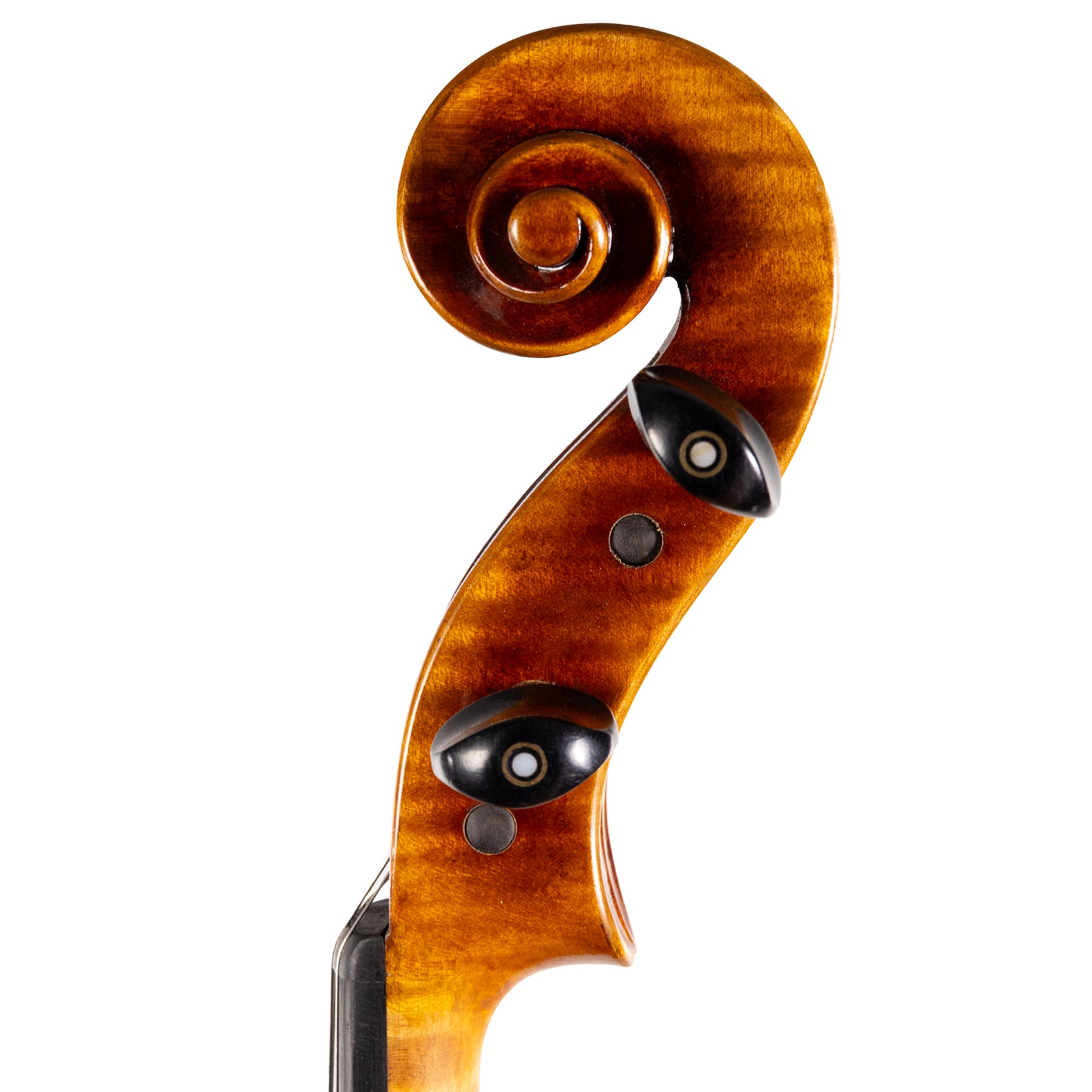Carlo Lamberti® Classic Viola