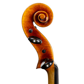 Carlo Lamberti® Tertis Viola
