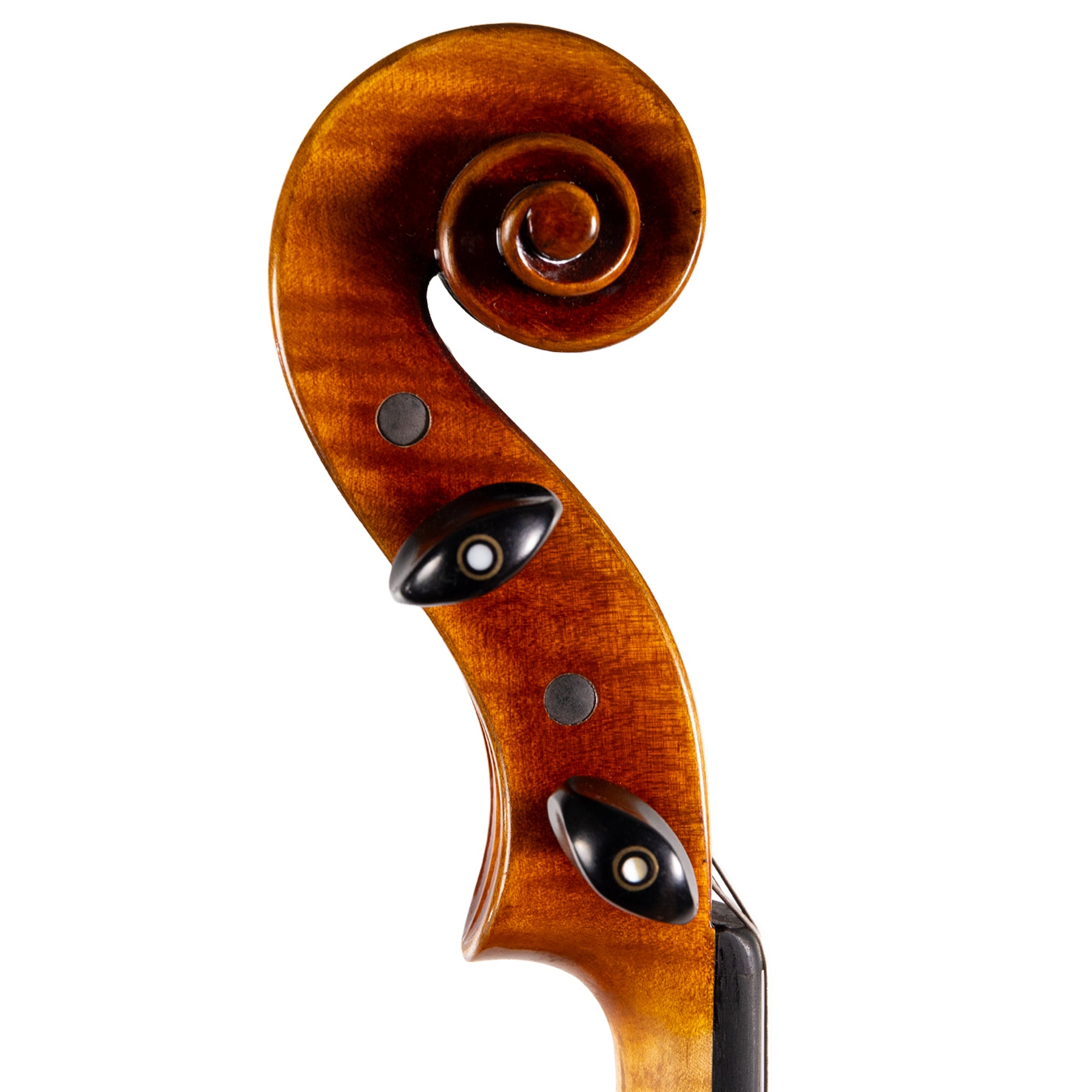 Carlo Lamberti® Classic Viola