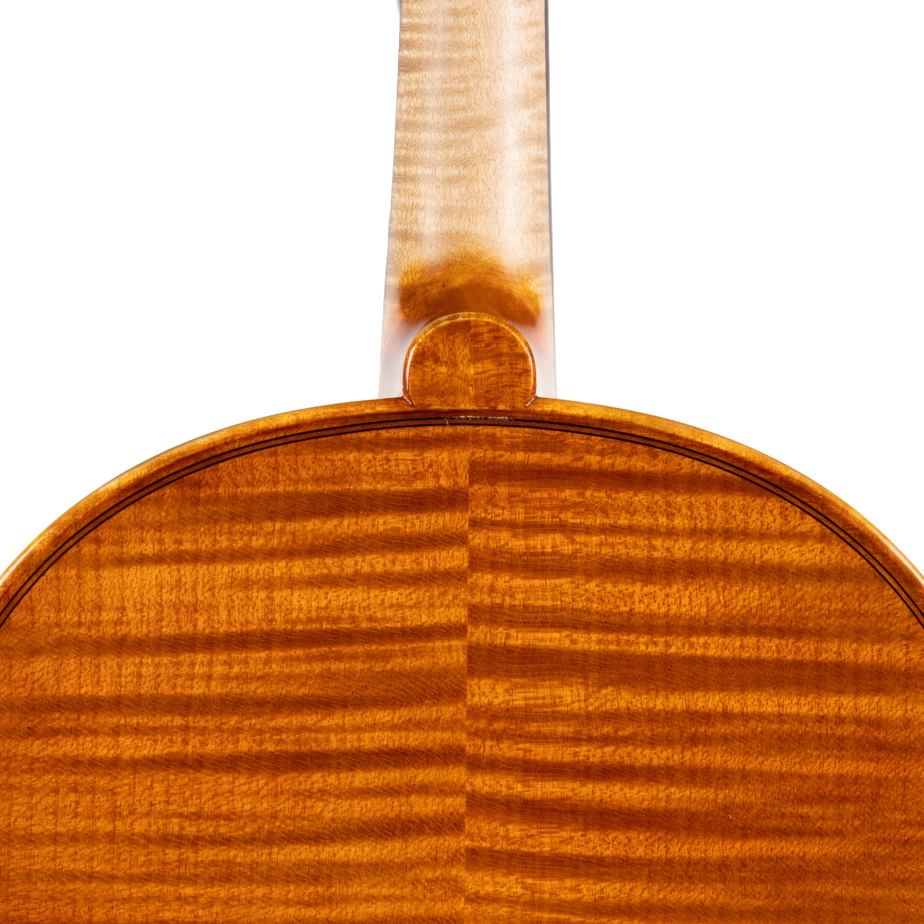 Guido Brancalion Viola, Cureggio, 2002, 16 1/4"