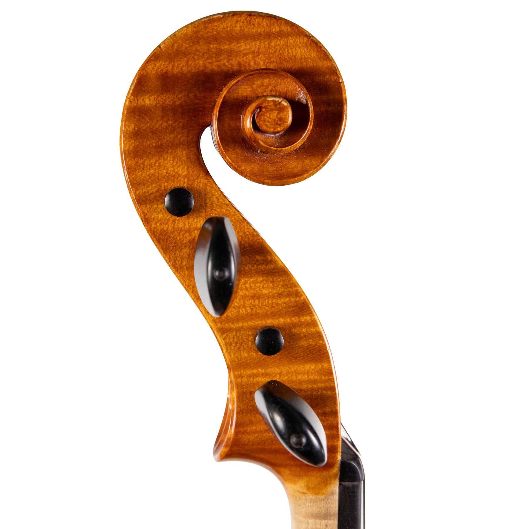 Guido Brancalion Viola, Cureggio, 2002, 16 1/4"