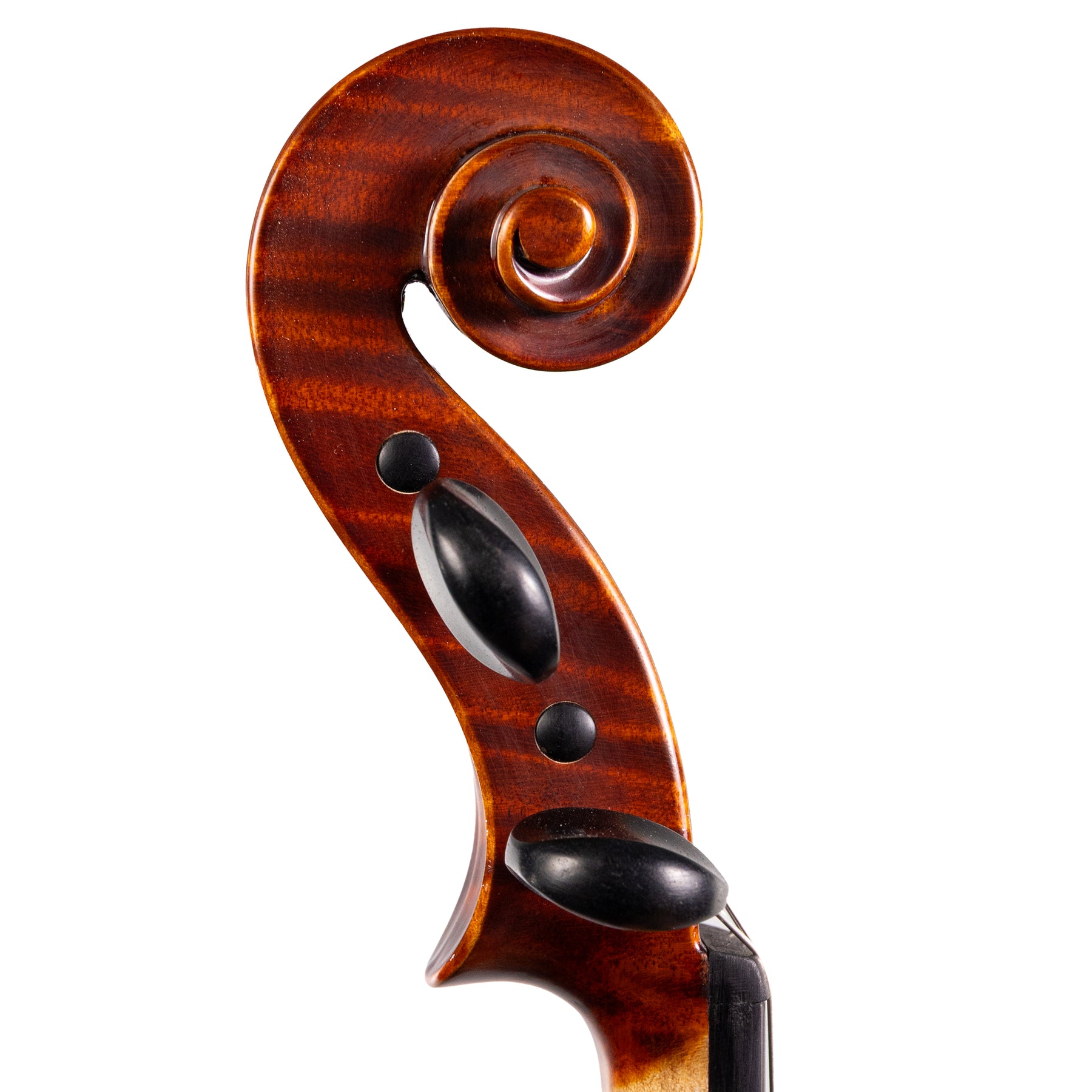 Carlo Lamberti® Sonata Viola