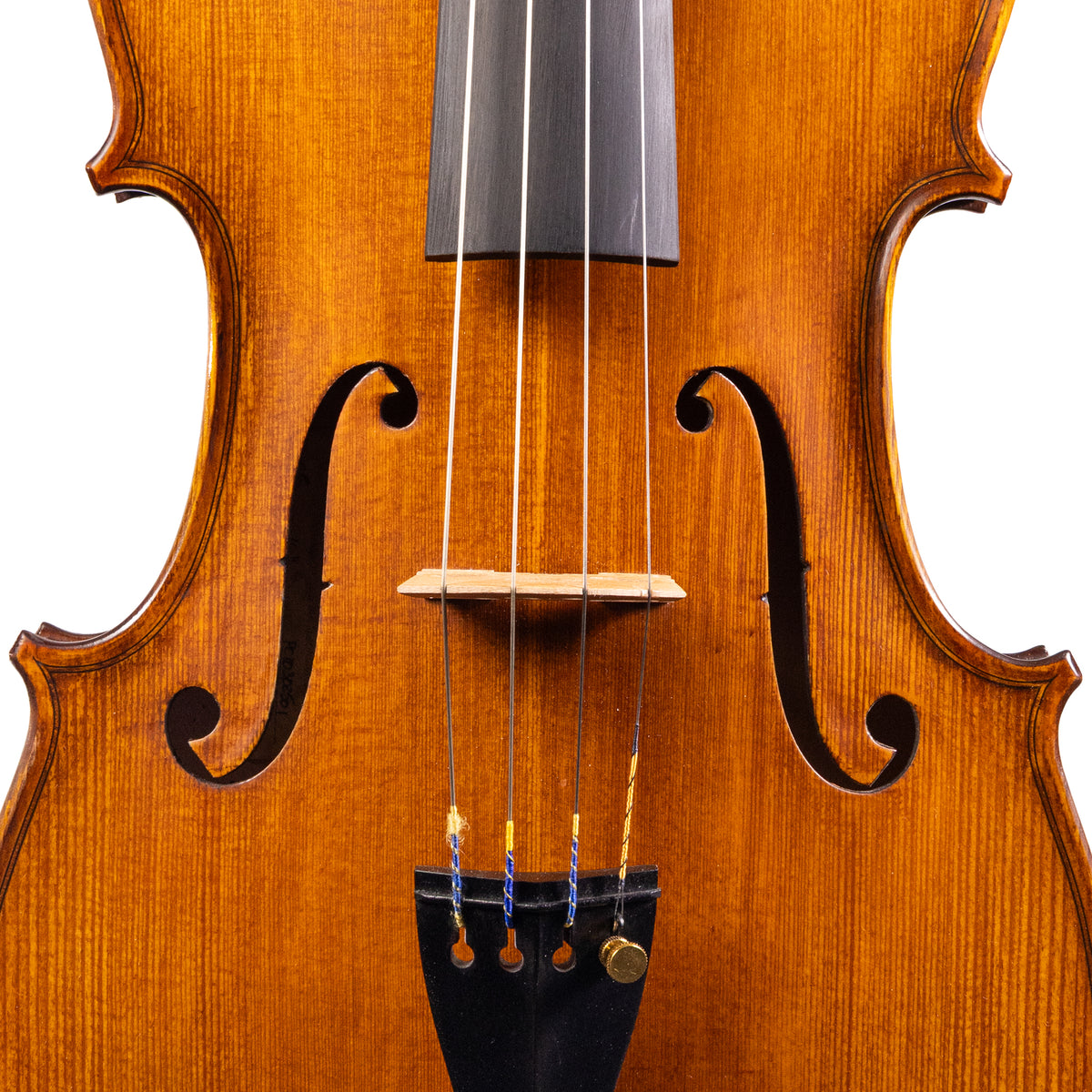 Otto Ernst Fischer® Bianca Viola