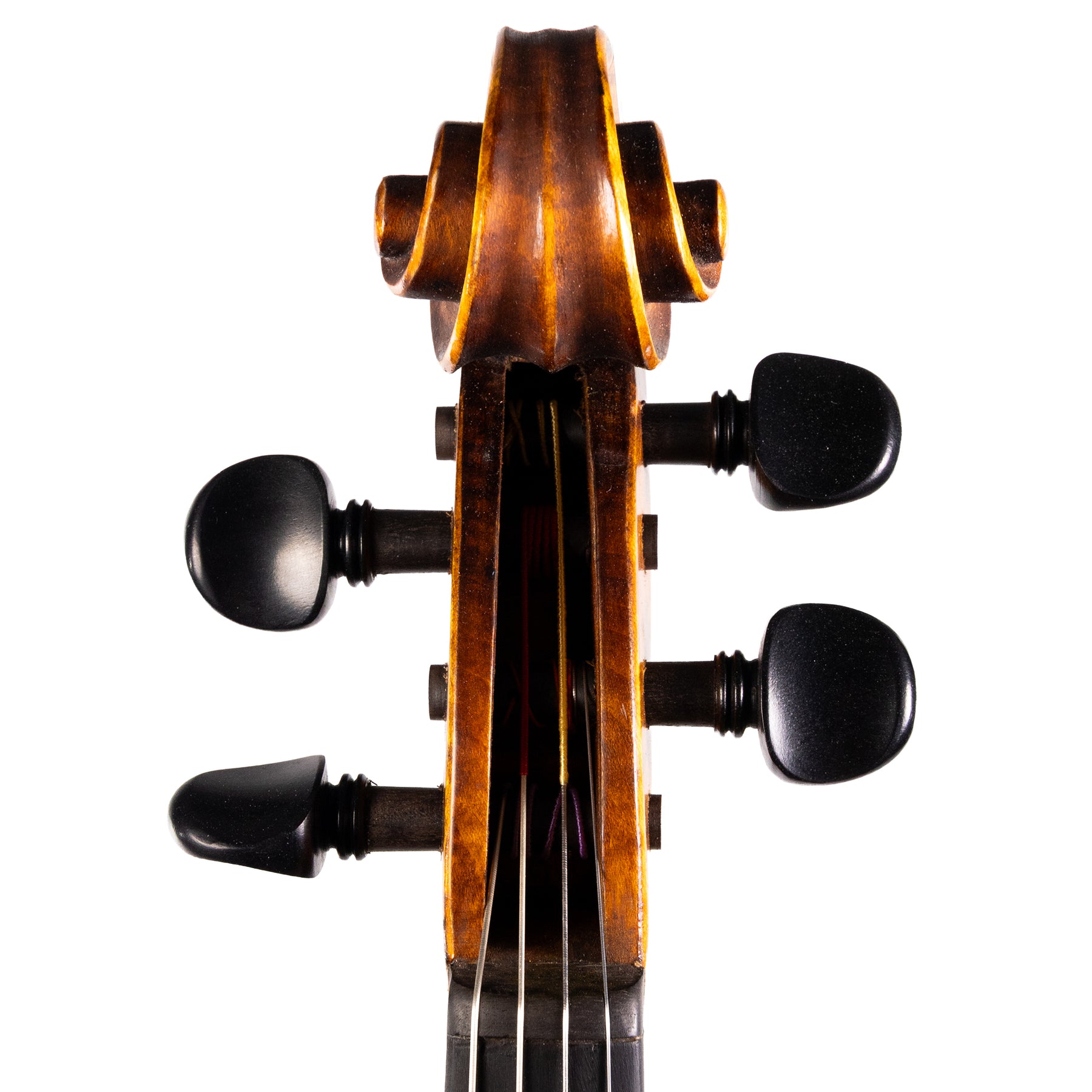 Otto Ernst Fischer® Bianca Viola