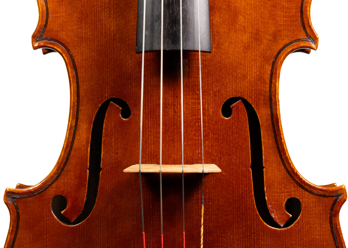 Catalin Quercinola Viola, Eudora, 2025, 15 3/4