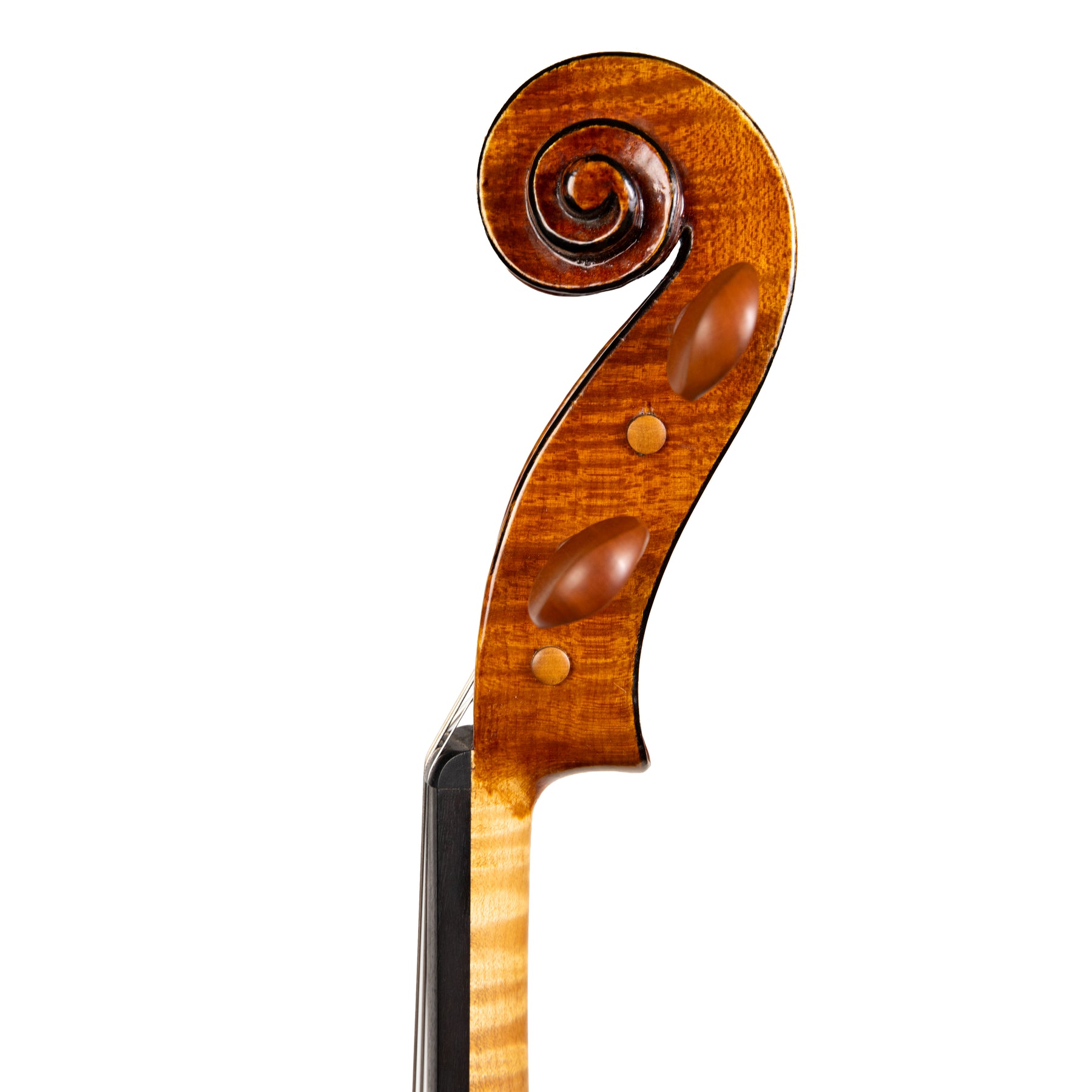 Catalin Quercinola Viola, Eudora, 2025, 15 3/4" w/ Certificate