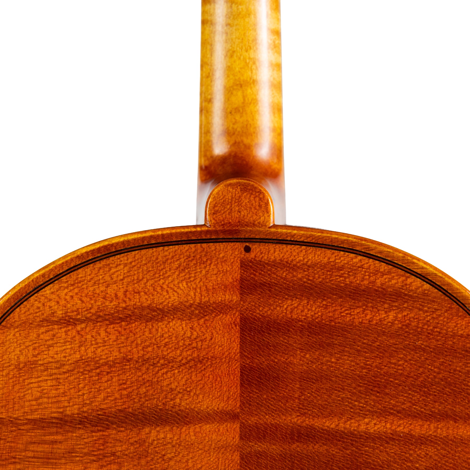 David Burgess Viola, Ann Arbor, 1980, 16.5"