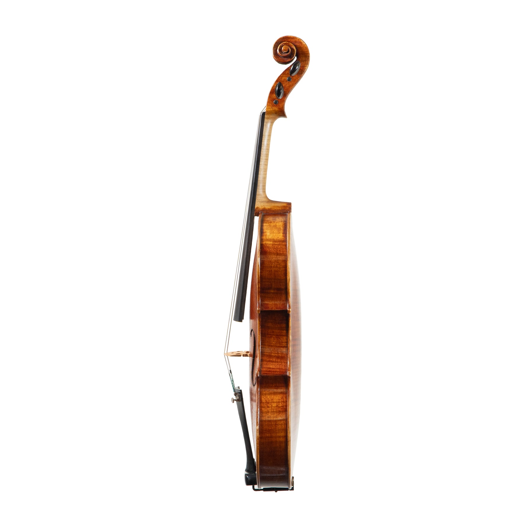 Todd Goldenberg Viola, North Berwick, 2023, 16"