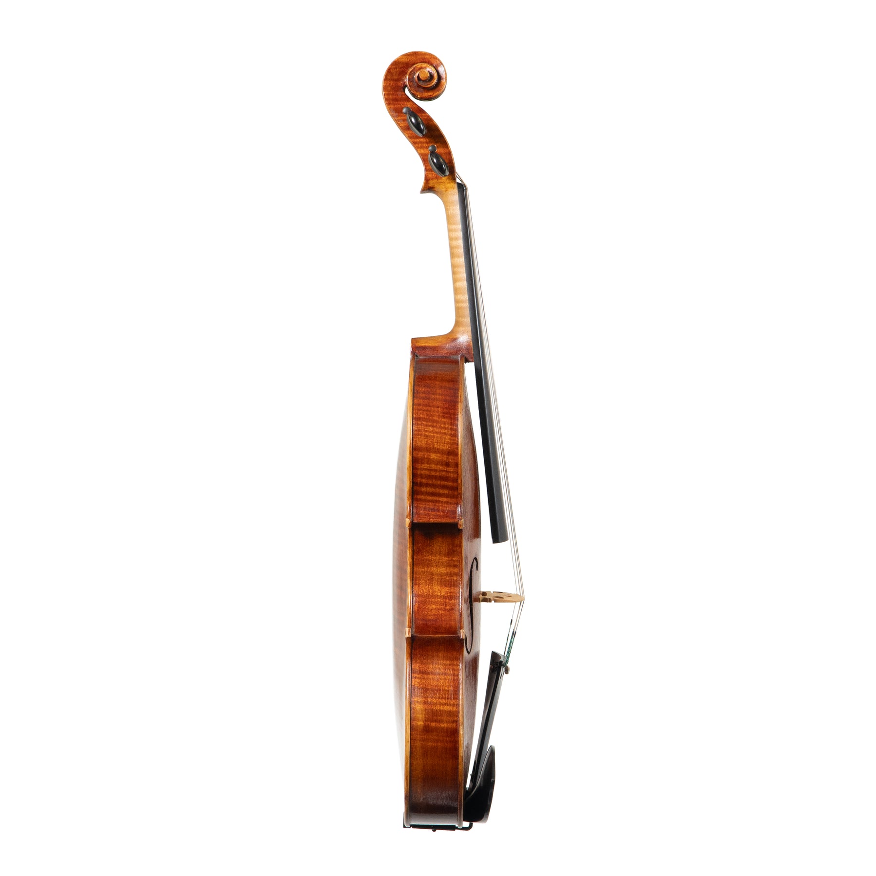 Todd Goldenberg Viola, North Berwick, 2023, 16"