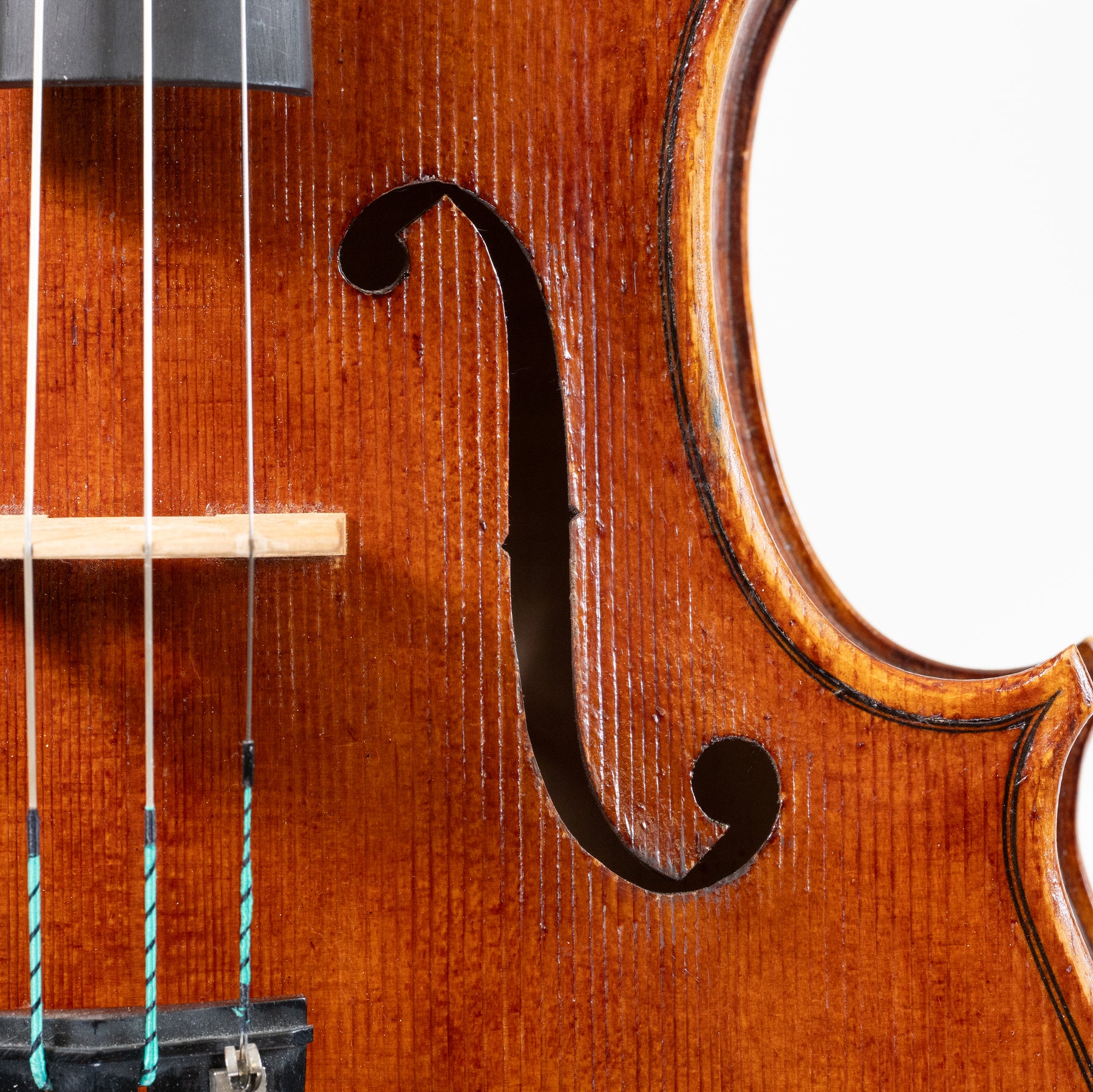 Todd Goldenberg Viola, North Berwick, 2023, 16"