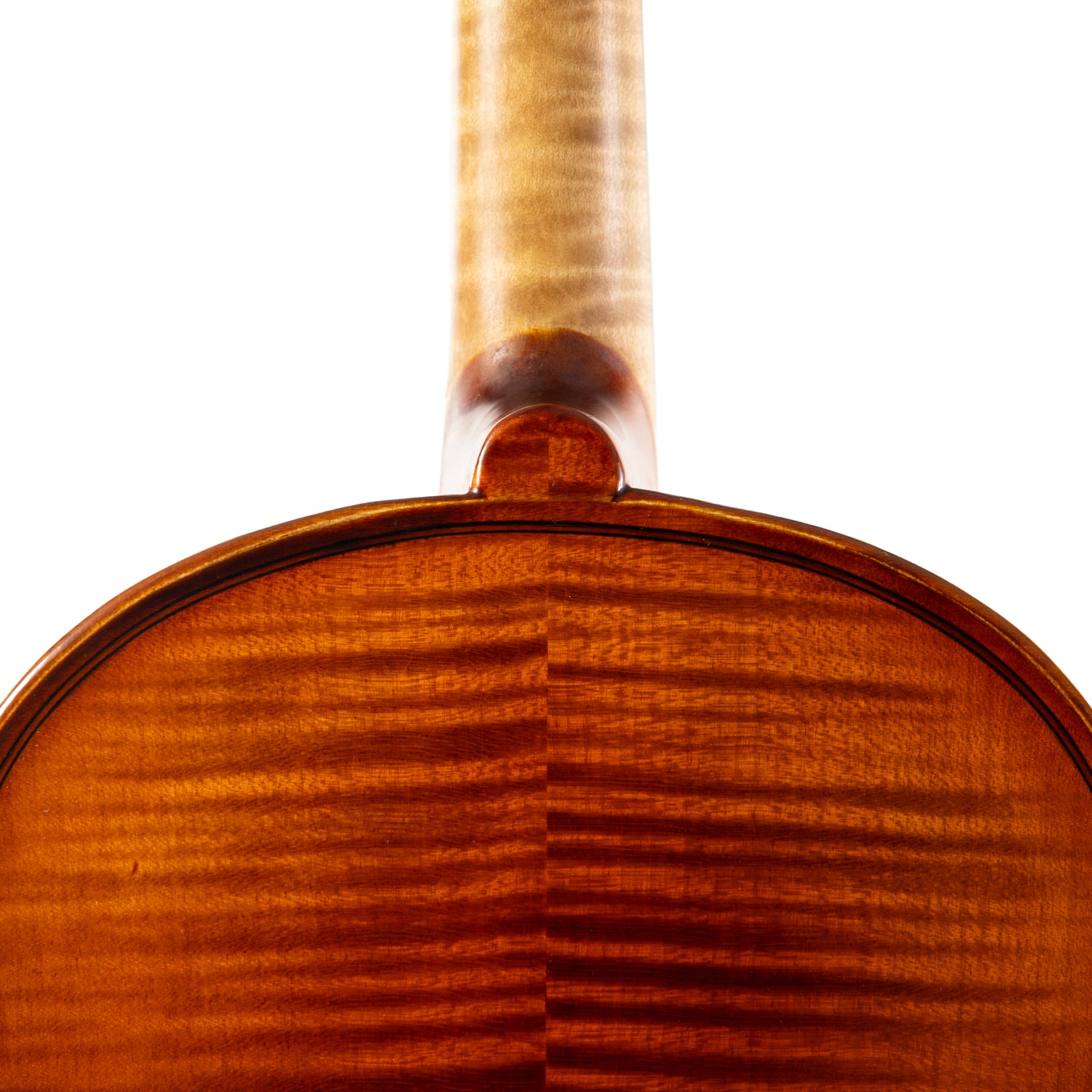 Otto Ernst Fischer® Bianca Violin