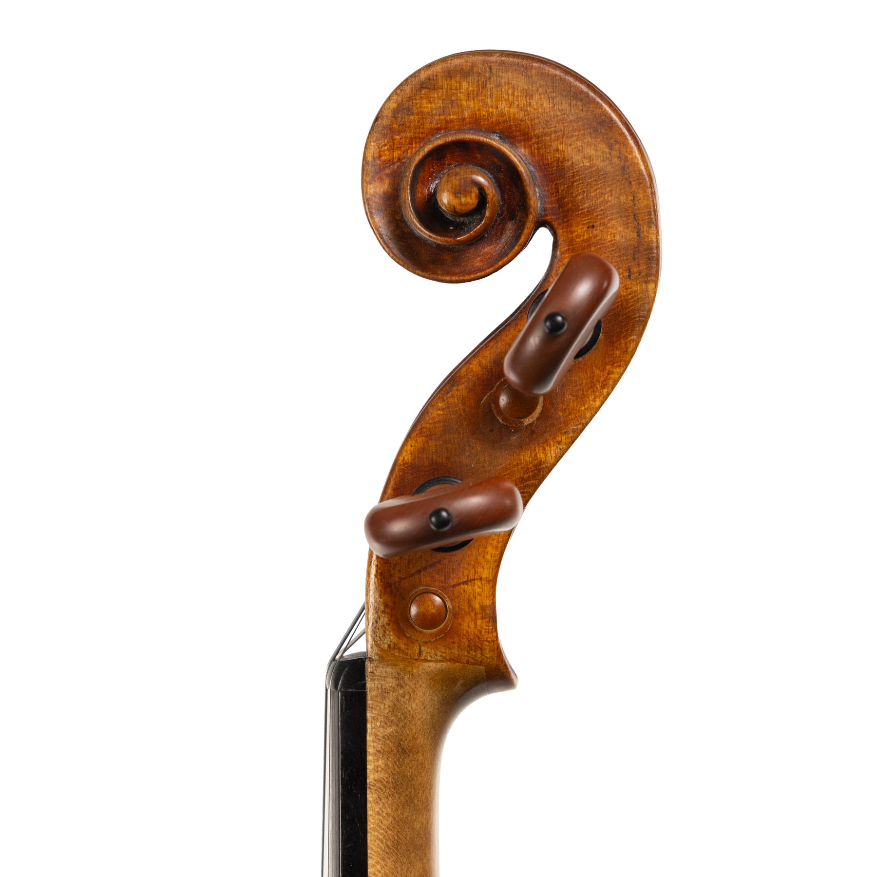 Italian Violin att. Giuseppe Odoardi, Italy, c.1775 (Later Top by Curtin & Alf)