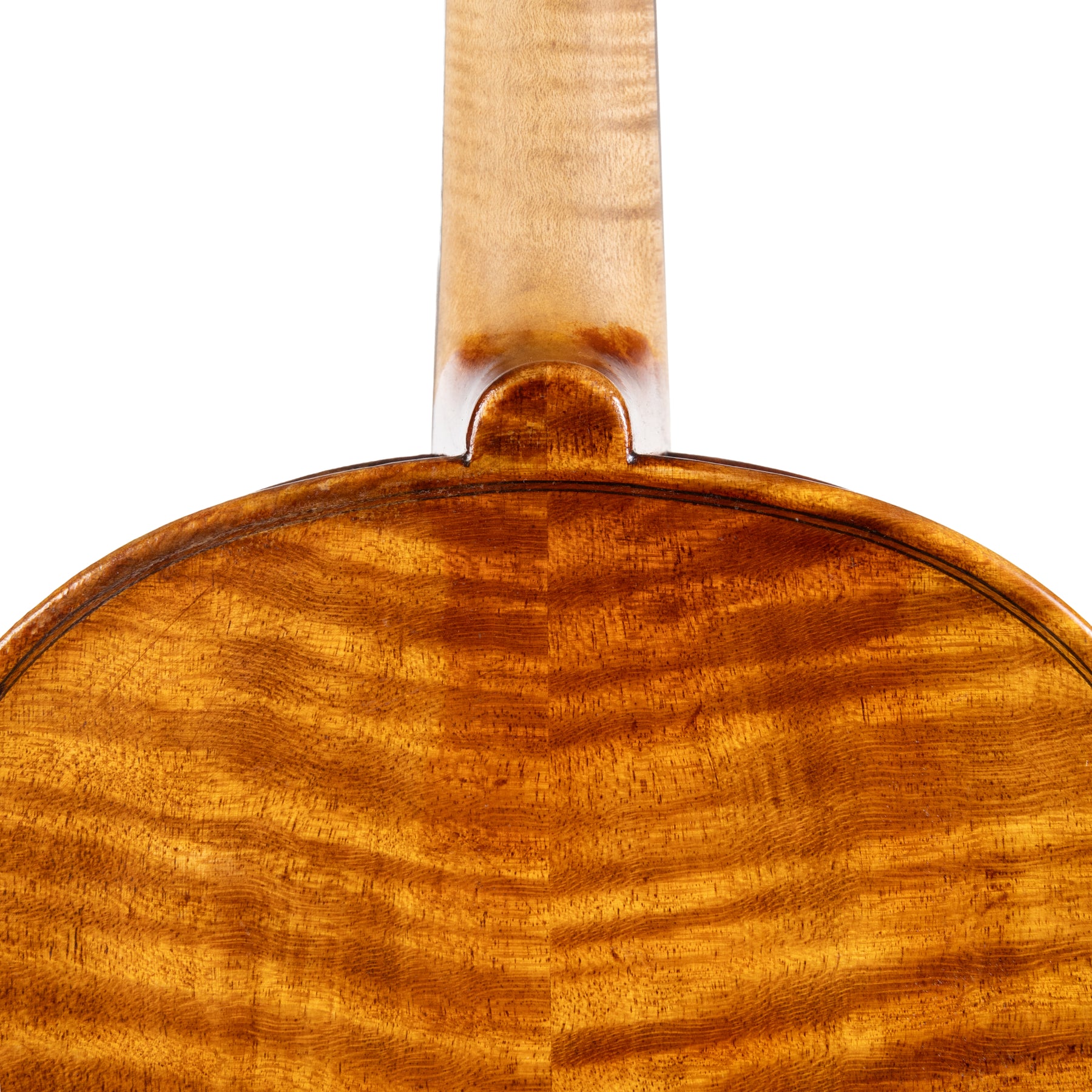 E.H. Roth IR Violin, Markneukirchen, 1924