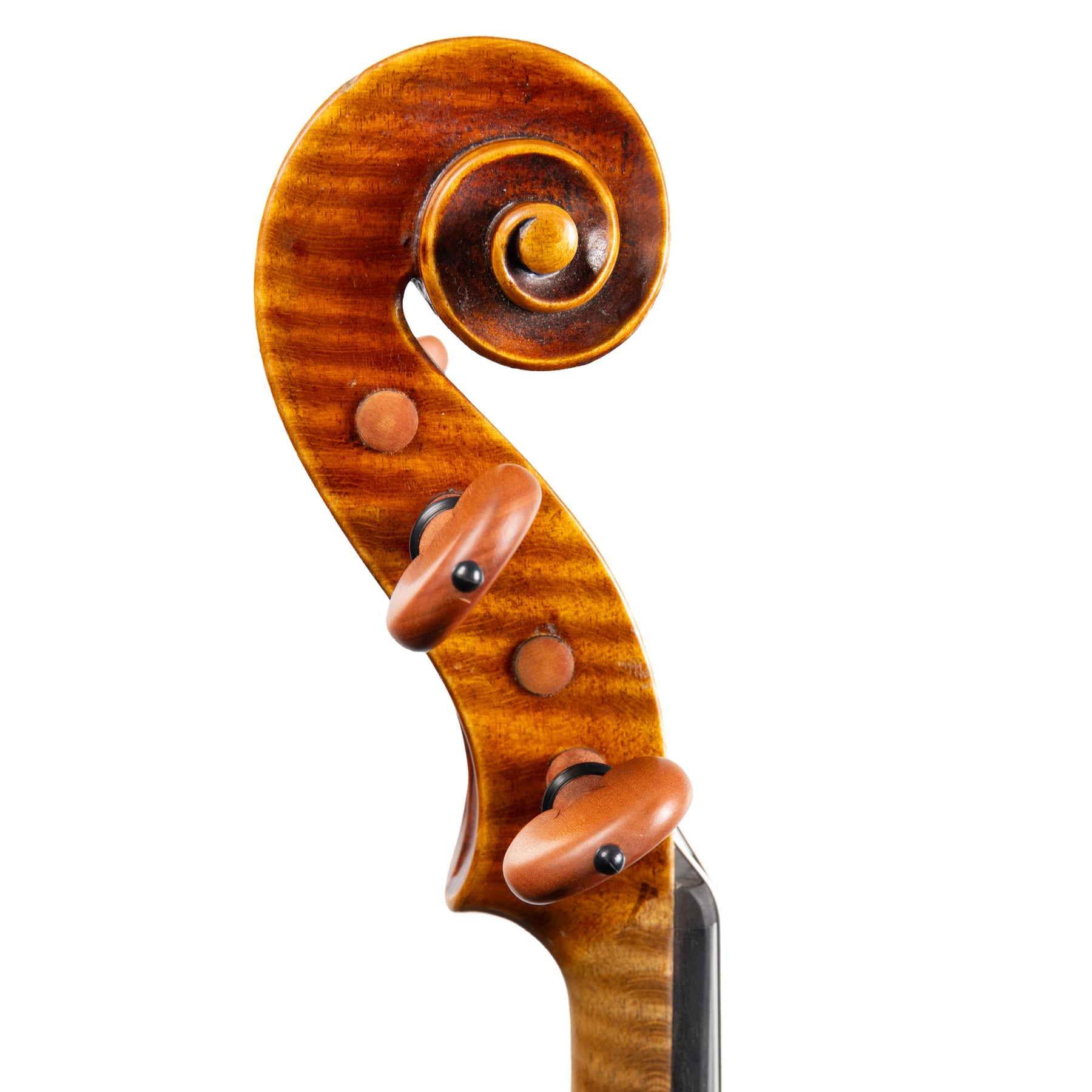 Gustav August Ficker Violin, Markneukirchen, 1930