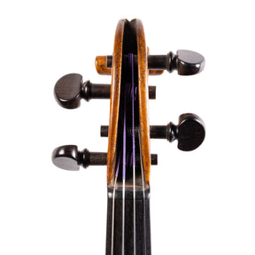 French 'Guitare' Violin, Early 19th Century