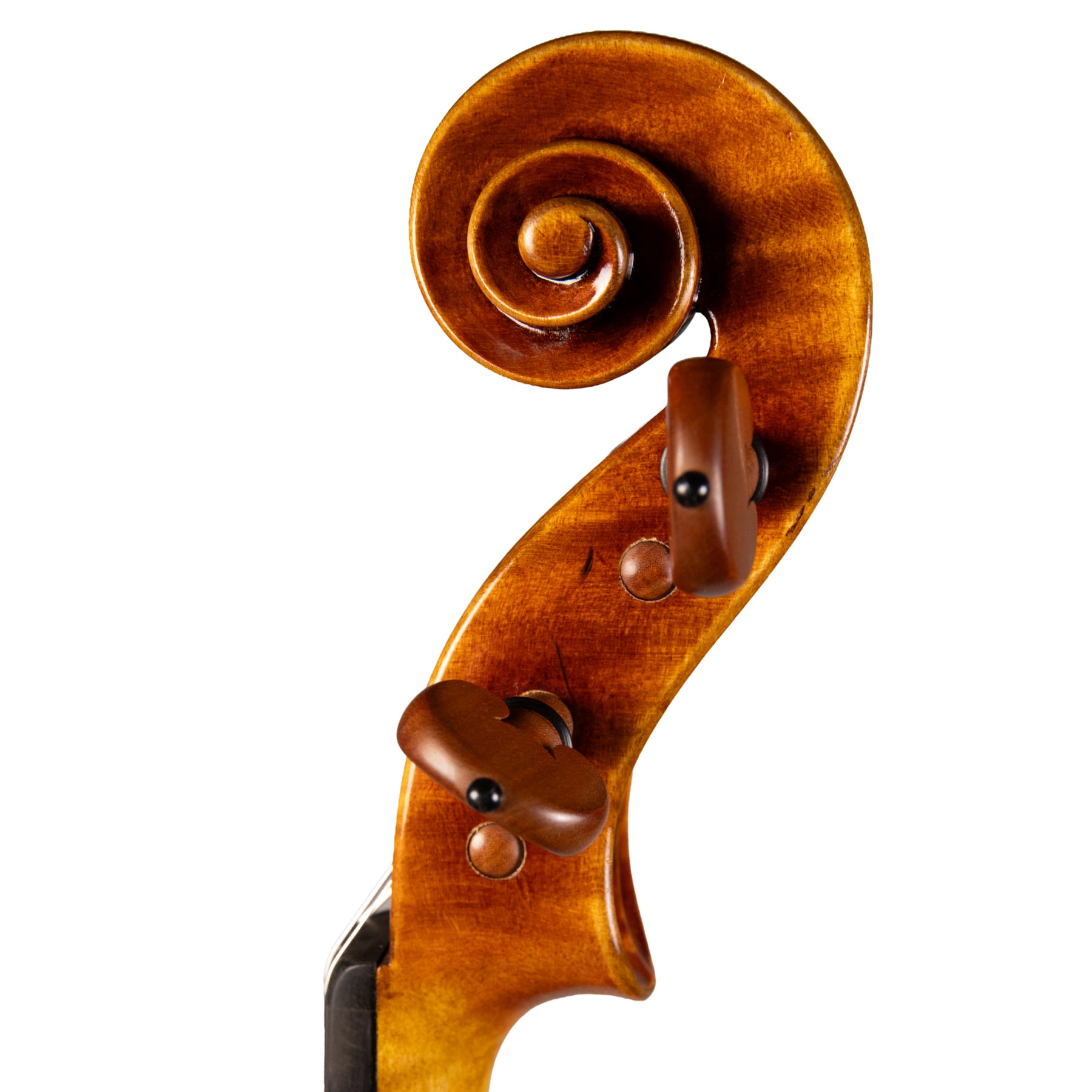 Carlo Lamberti® Master Series Fiddle Outfit