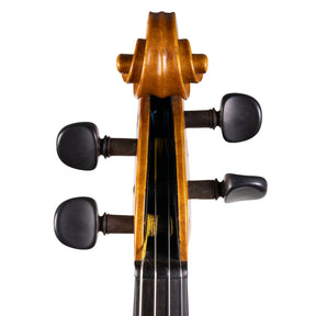 German Violin, Early 20th Century